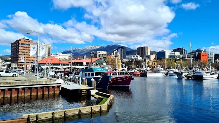 Website design in Tasmania - fast, affordable, mobile-friendly websites for local businesses